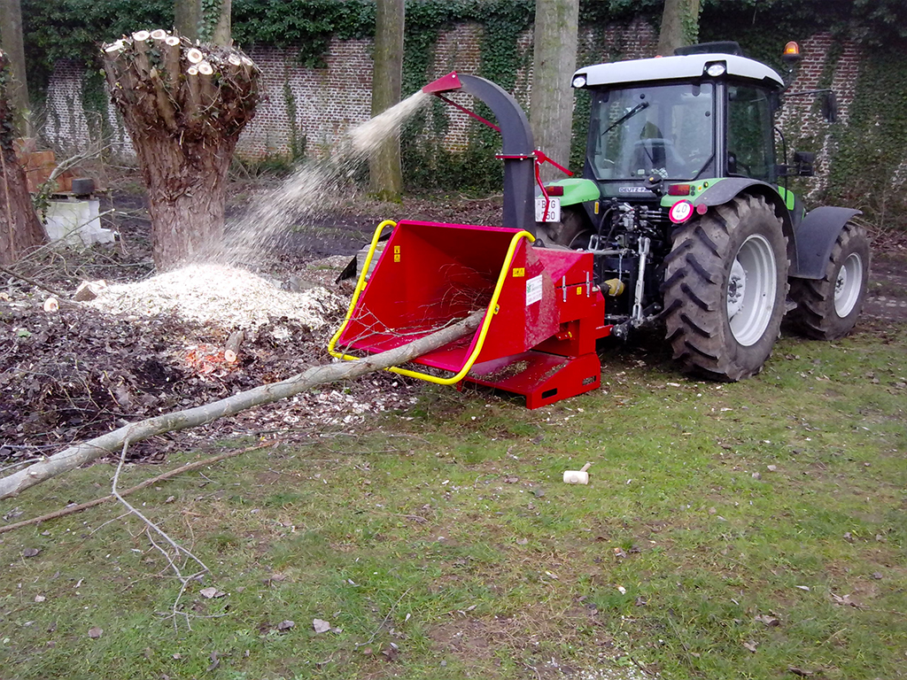 snoeien bomen